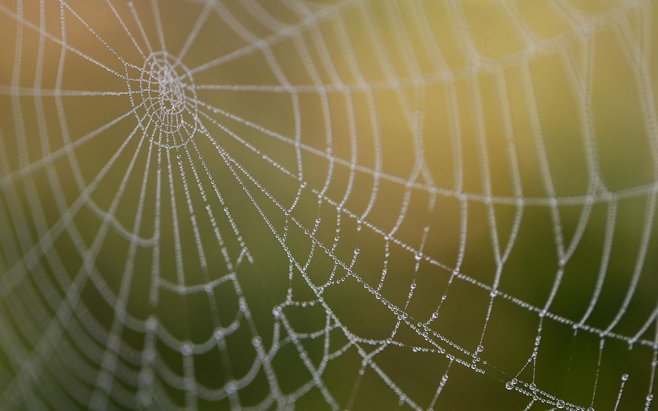 découvrez le web reporting, une solution interactive et efficace pour analyser vos données en temps réel. optimisez vos performances grâce à des rapports personnalisés et une visualisation claire des informations.