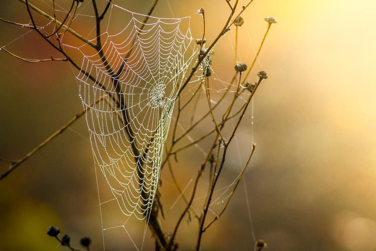 Comment le web reporting transforme l’analyse des données en entreprise