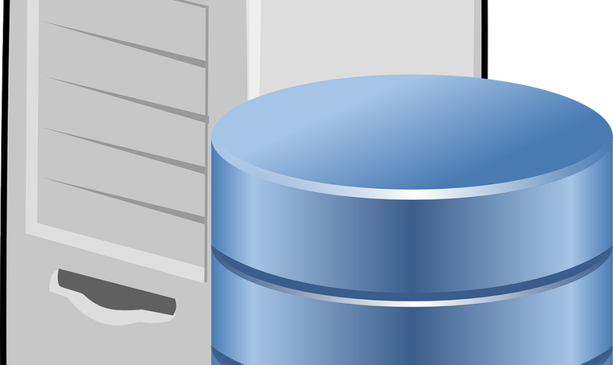 Comprendre les bases de donn&eacute;es : concepts cl&eacute;s et applications